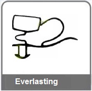 Everlasting