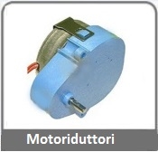 Motoriduttore