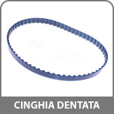 Cinghia Dentata