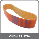 Cinghia Piatta