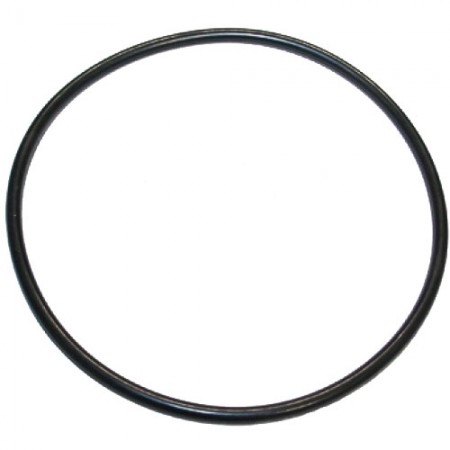 GUARNIZIONE OR - 15740