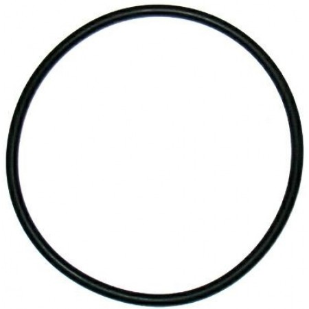 GUARNIZIONE OR -15831