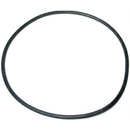 GUARNIZIONE OR -15846