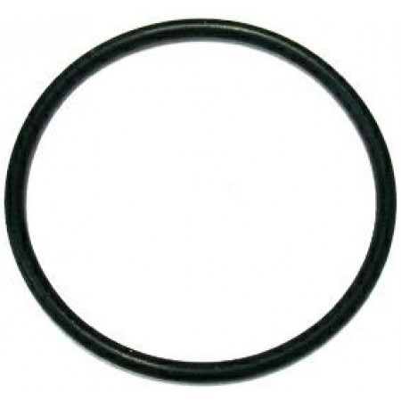 GUARNIZIONE OR - 15855
