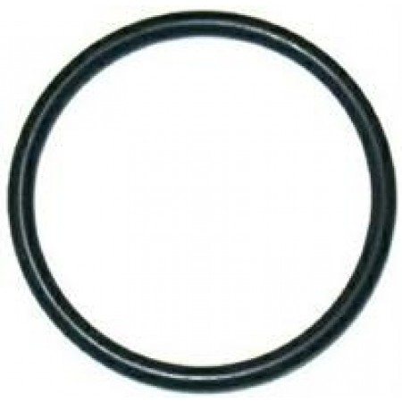 GUARNIZIONE OR 03131 -15894