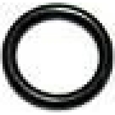 GUARNIZIONE OR114 -16061