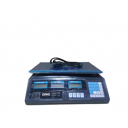 Ding -1 Bilancia 