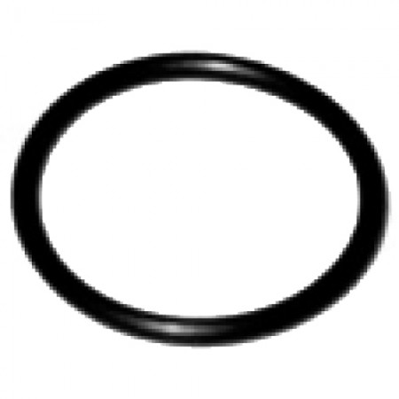 GUARNIZIONE OR TAPPO - 3524