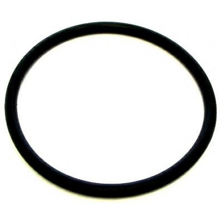 GUARNIZIONE OR -5863