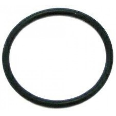 GUARNIZIONE OR -5944
