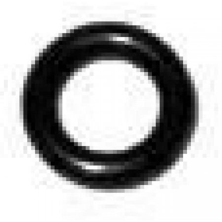 GUARNIZIONE OR -6014