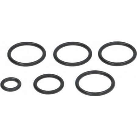 SERIE GUARNIZIONI AUTOTROL 255/440i-3010120