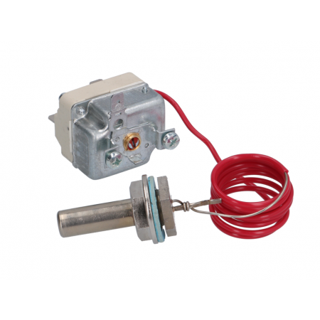 TERMOSTATO UNIPOLARE FISSO 60°C - 3150 new