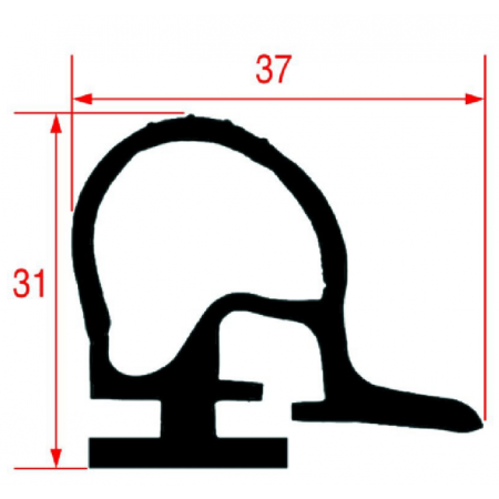 GUARNIZIONE CELLA 37x31MM. - VENDITA AL METRO - 166