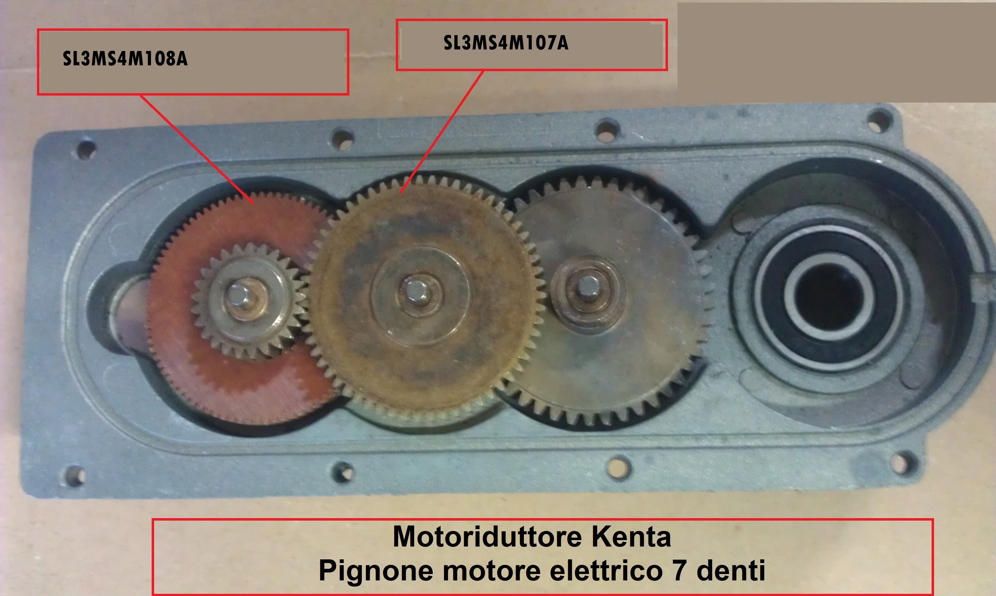 Motoriduttore Kenta - Pignone motore elettrico 7 denti 
