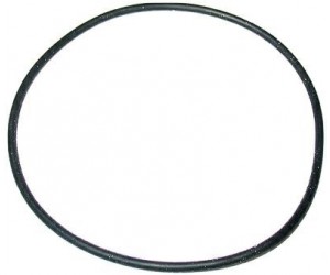 GUARNIZIONE OR -15846