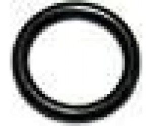 GUARNIZIONE OR114 -16061