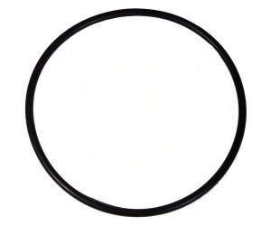 GUARNIZIONE OR - 4907