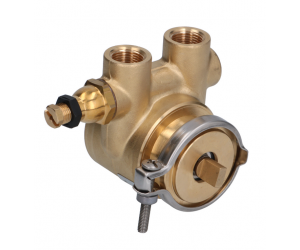 POMPA VOLUMETRICA ROTOFLOW ø 3/8" GAS - 1330005
