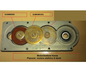 Motoriduttore Kenta - Pignone motore elettrico 6 denti