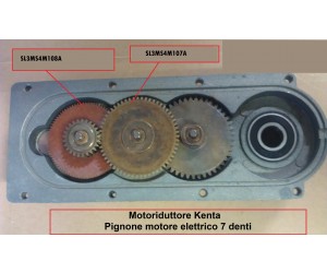 Motoriduttore Kenta - Pignone motore elettrico 7 denti