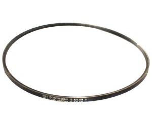 CINGHIA TRAPEZOIDALE- RBACIN0018