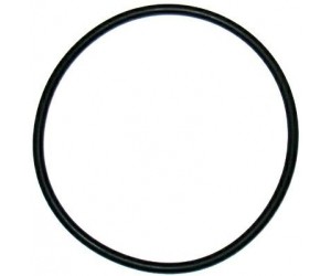 GUARNIZIONE OR -15831