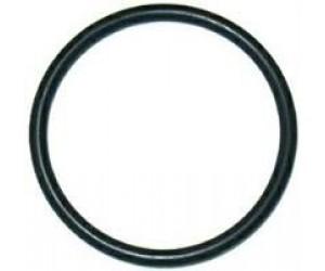 GUARNIZIONE OR 03131 -15894