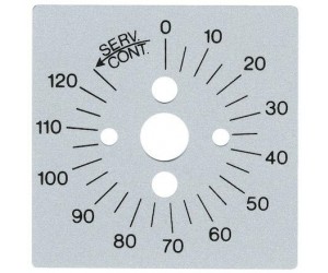 TARGA SERIGRAFATA 120 MINUTI - 4039