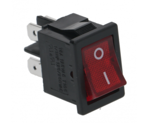 INTERRUTTORE BIPOLARE 10A - 13857